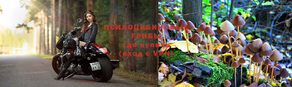 мяу мяу мука Зеленодольск