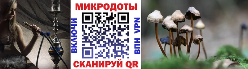 Псилоцибиновые грибы прущие грибы  Купить закладки  Тутаев 